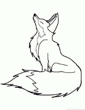 Dibujo de Una Zorro Aullando para Colorear
