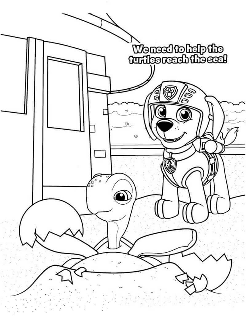 Dibujo de Patrulla Canina Zuma 1 para Colorear