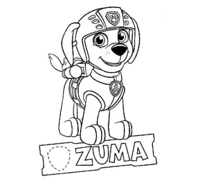 Dibujo de Patrulla Canina Zuma para Colorear